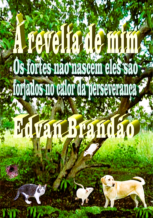 Arte da página 6