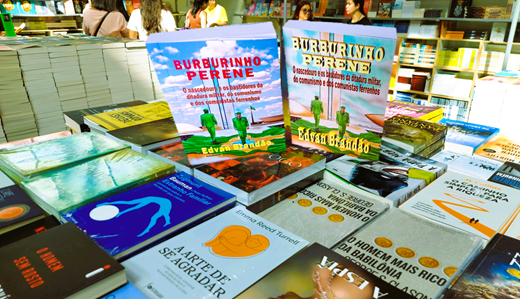 Foto burburinho perene 1 - Copia