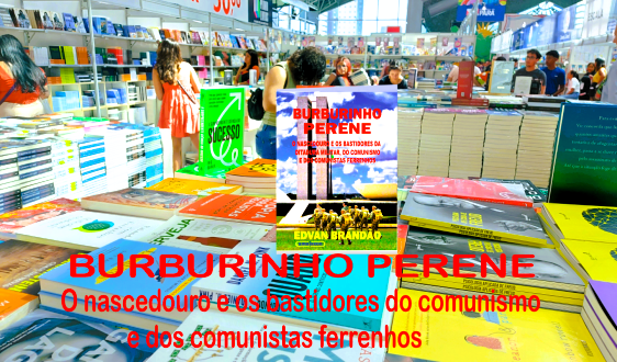 Burburinho perene divulgação
